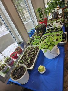 439245562_840377727897639_2720055408217424279_n