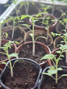 439311449_840377797897632_2922642593753844875_n